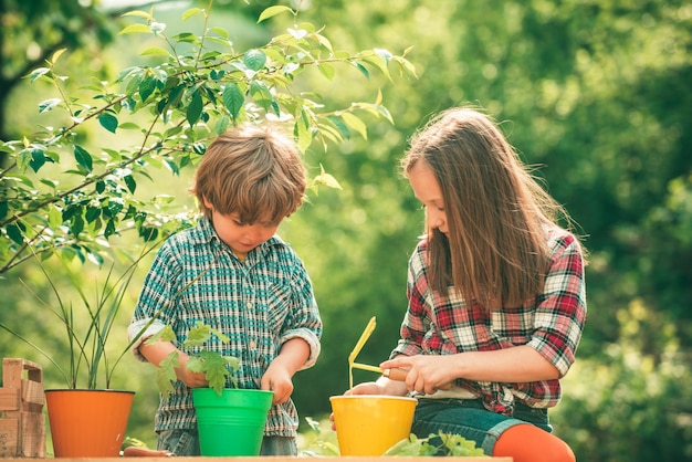 Ecologieconcept kind Twee boerenkinderen met biologische groenten van eigen bodem