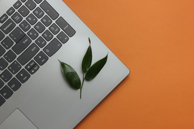 Ecologisch concept LAptop met groene bladeren op een bruine achtergrond