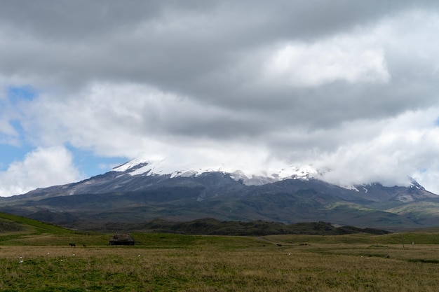 Ecologisch reservaat Antisana Antisana-vulkaan Ecuador