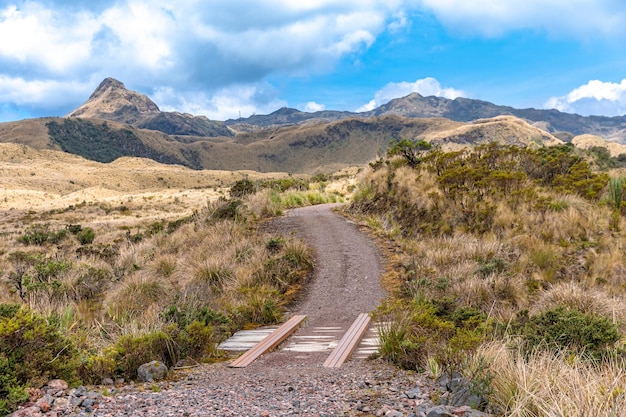 Ecologisch reservaat Cayambe Coca in Ecuador