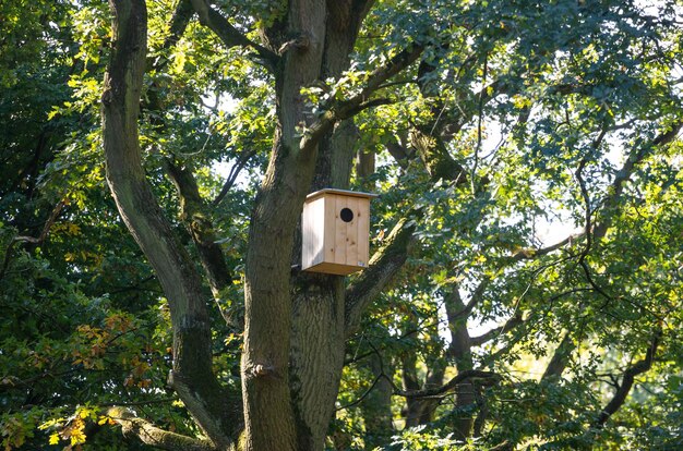 Ecologisch vogelhuisje Beige houten vogelhuisje met gat hangend aan een boom Natuur achtergrond