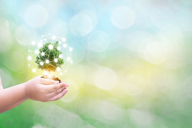 Ecology  child human hands holding big plant tree with on blurred background world environment the  of the world