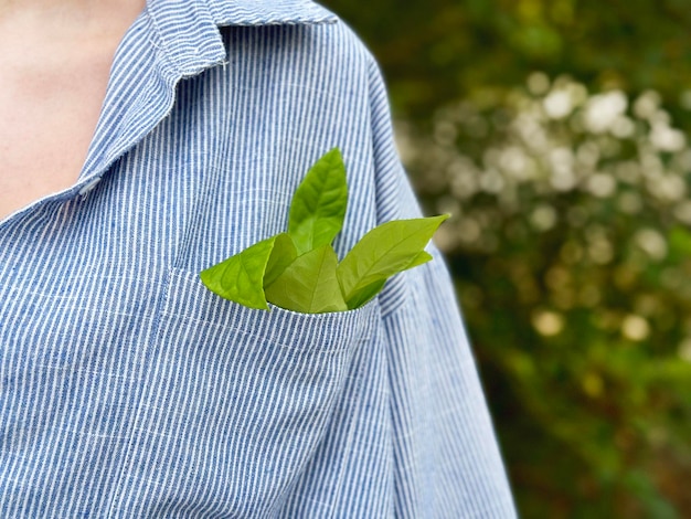 사진 생태학 개념 여성이 셔츠 주머니에 잎을 가진 초록 가지를 유지하고 있습니다.