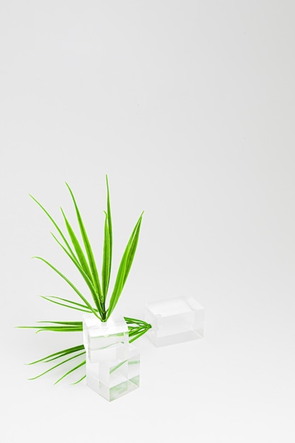 Photo ecology protect nature from plastic transparent cubes growing plastic grass on a white background