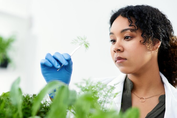 Photo ecology scientist and woman with plants in laboratory for biochemistry development and research science innovation and person with plant exam for phytochemistry ecosystem or inspection of growth