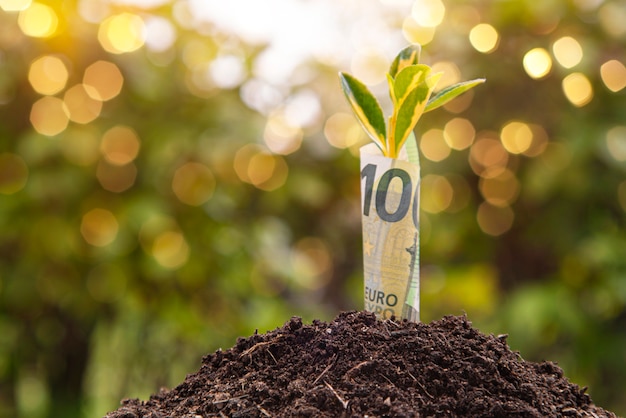 Economic Growth symbol : one hundred euro banknote with a plant or leaf growing out of the earth with green blurry background