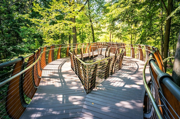 Ecopaat in het bos en een eiland VDNKh Moskou