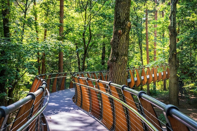 Ecopaat in het bos VDNKh Moskou