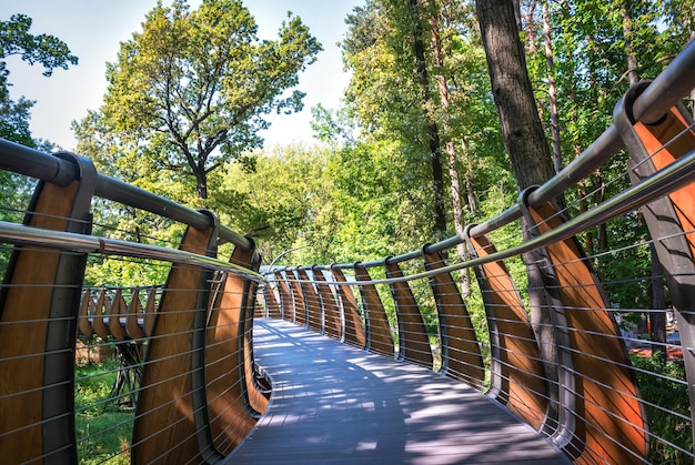 Photo ecopath in the forest vdnkh moscow