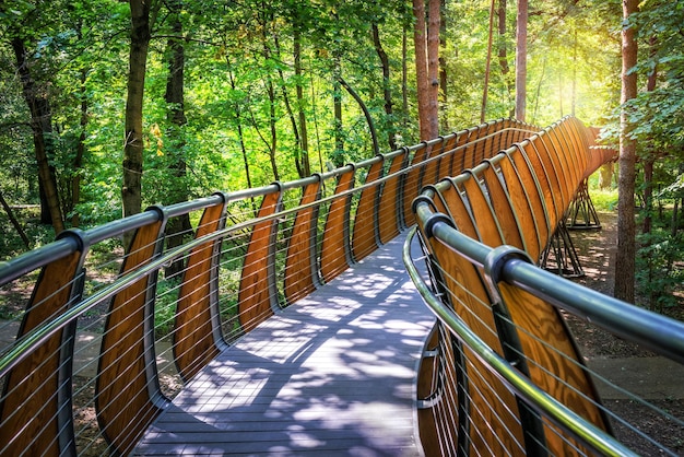 Ecopath in the forest VDNKh Moscow