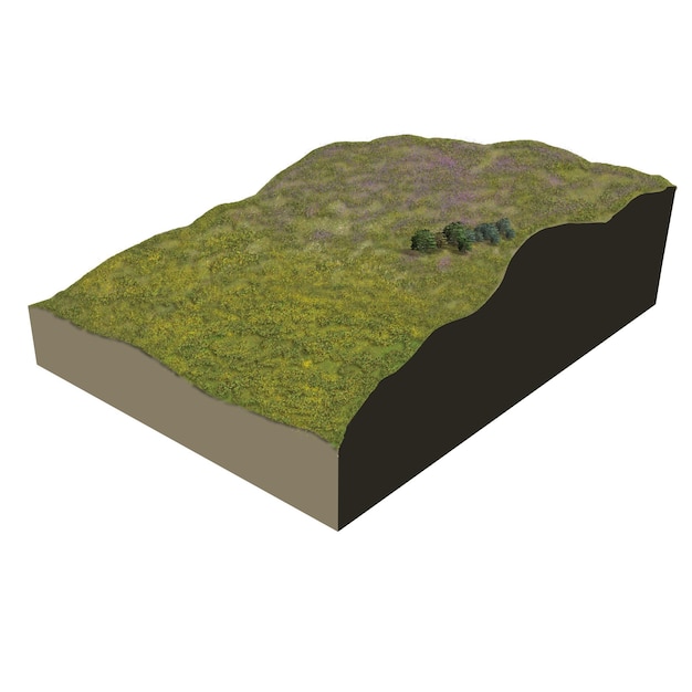 Ecosystem terrain heathery