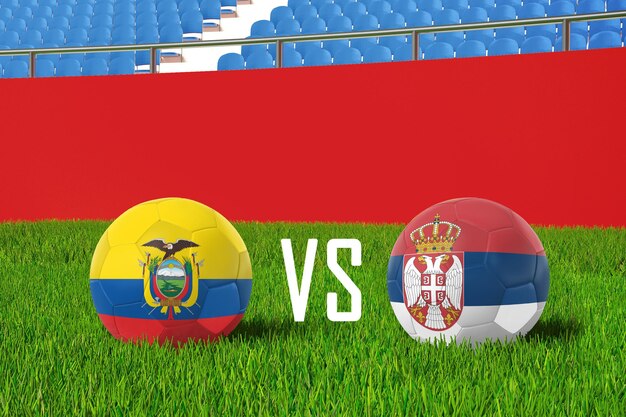 Ecuador VS Serbia In Stadium