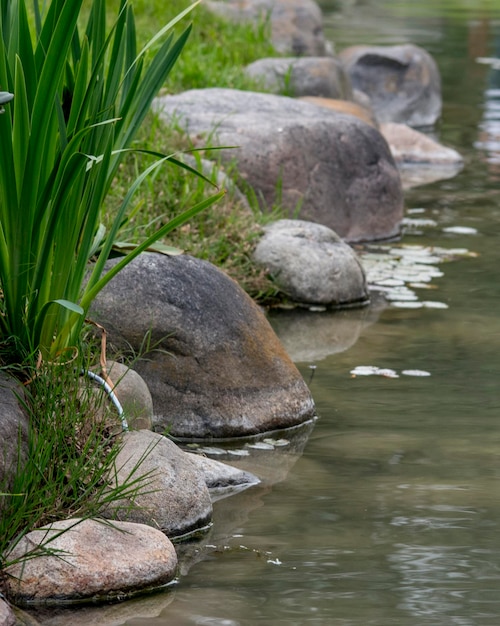 edge of the lake in the japanese garden