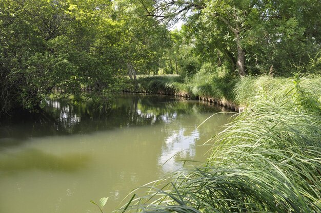 Edge of the Seugne in Jonzac