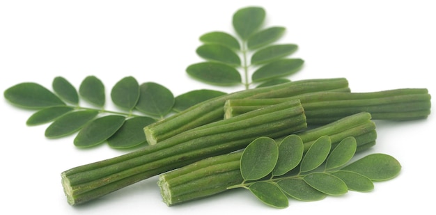 Edible moringa with fresh leaves