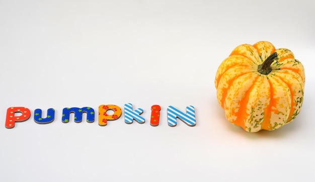 Edible pumpkin and the word pumpkin from the letters of the children39s alphabet on a white background