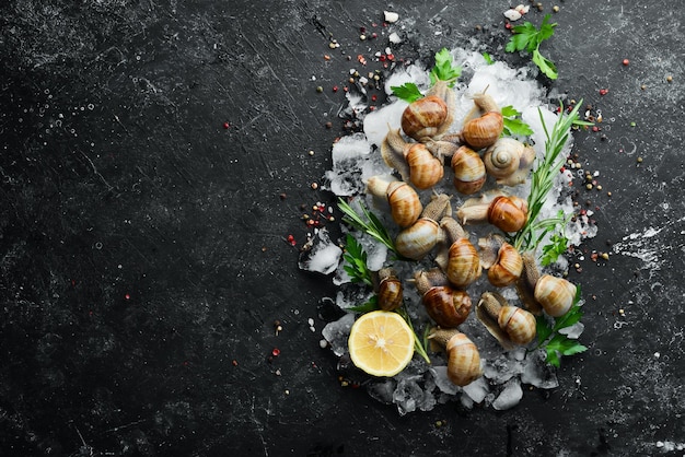 Edible Snails on Ice with Parsley and Lemon Traditional French cuisine Top view