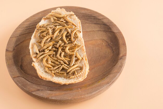 Edible worm with bread