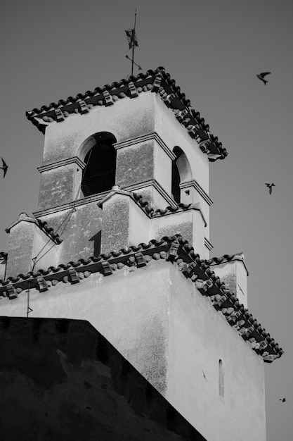 Foto edificio antiguo con pajaros