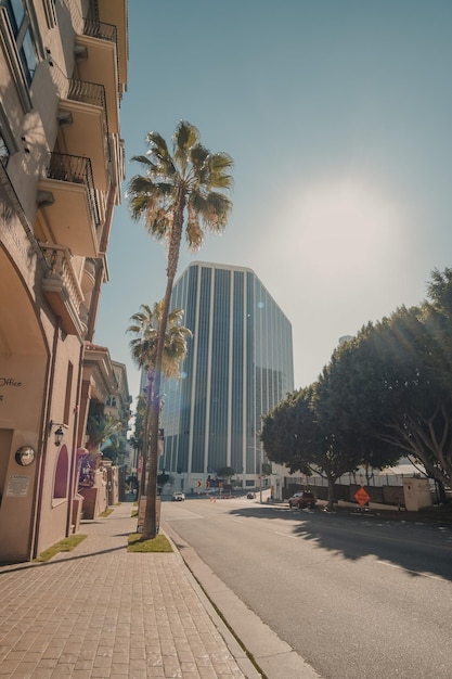 Edificio los angeles