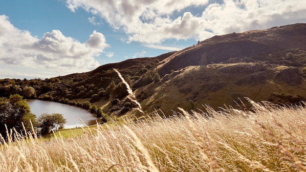 Edinburgh Holyrood Park Natrure