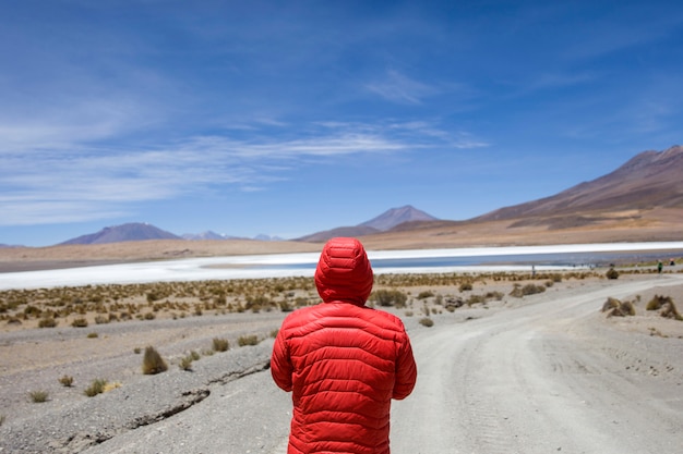 Eduardo avaroa andes fauna national reserve in bolivia