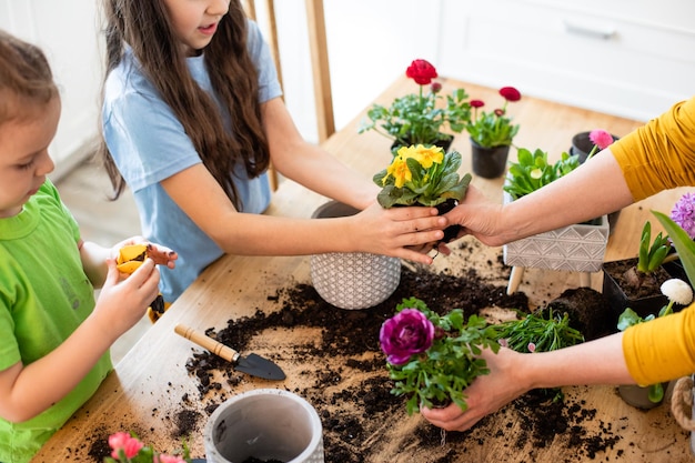 Educatieve hobby's ontwikkeling van gezin met kinderen