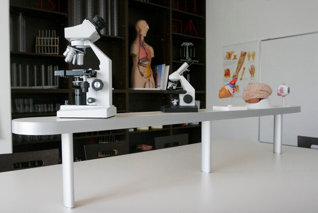 Foto educatieve microscopen en menselijke organen in het biologielokaal