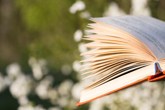 Libro aperto di concetto di istruzione nelle mani su uno sfondo di alberi in fiore