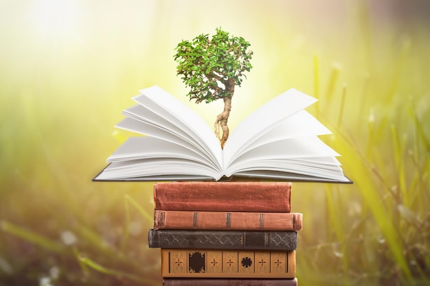 education concept with tree of knowledge planting on opening old big book in library with textbook,