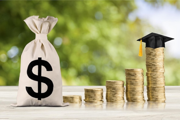 Education expense or student loan for post secondary education concept : Dollar bag,