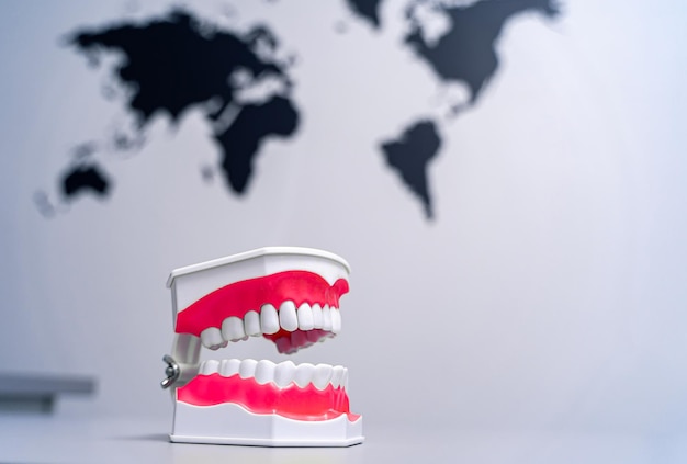 Modello educativo della sezione della mascella con denti sullo sfondo della mappa del mondo concetto di odontoiatria