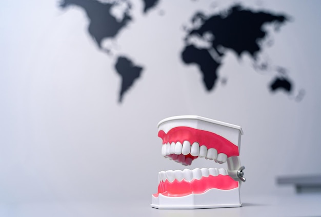 Educational model of jaw section with teeth on world map background. Dentistry concept.