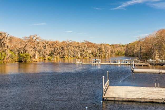 Parco statale florida di edward ball wakulla springs