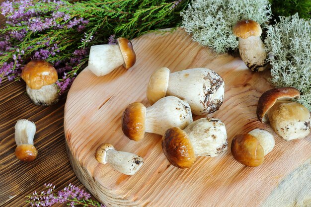 Eekhoorntjesbrood op een snijplank op een achtergrond van mos en bloemen lesnogog heide