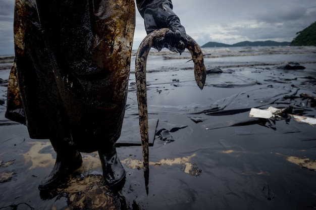 угорь погибает от загрязнения нефтью на пляже