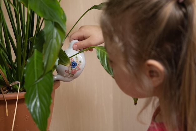 Een 4-jarig meisje geeft kamerplanten water Thuis planten vanaf het concept van de kindertijd