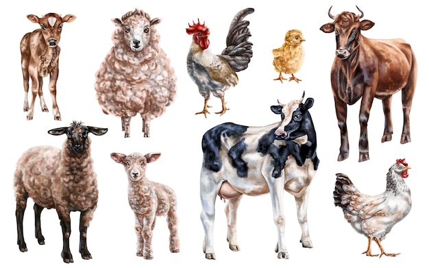 Een aantal boerderijdieren, koeien, kippen, schapen, landelijk dorp, zoogdieren, vee, pluimvee