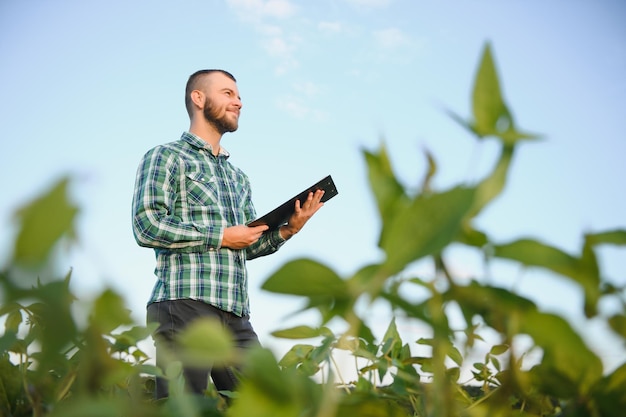 Een agronoom van een boer inspecteert groene sojabonen die in een veld groeien. landbouw