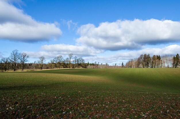 Een akker in het vroege voorjaar onder een bewolkte hemel