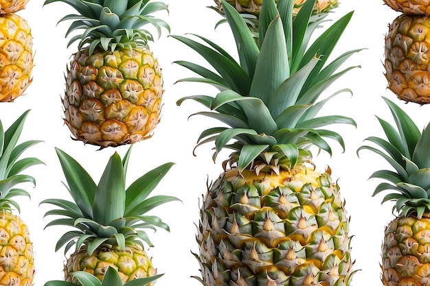 Een ananas op een witte achtergrond