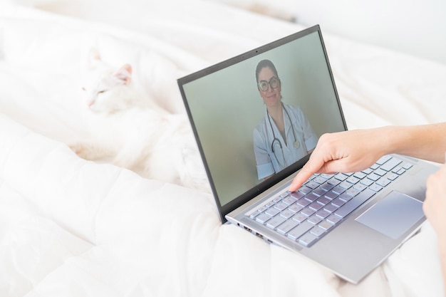 Een anonieme vrouw drinkt een koortswerend middel en kijkt naar een video van een doktersaanbeveling Online doktersraadpleging op een webcam zonder je huis te verlaten De kat ligt in bed met een zieke eigenaar