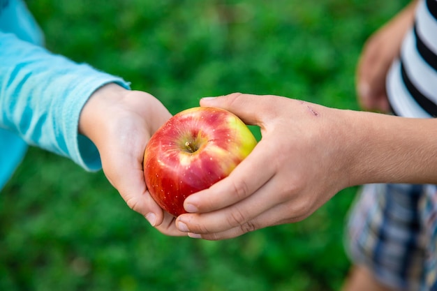 Een appel in kinderhanden wordt gedeeld door vrienden Selectieve aandacht Kids