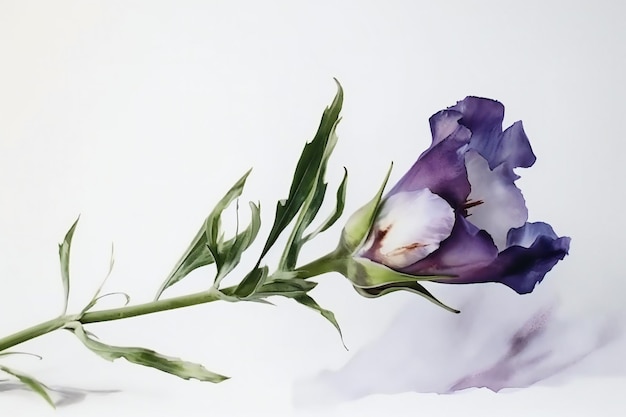 Een aquarel van een bloem met het woord iris erop