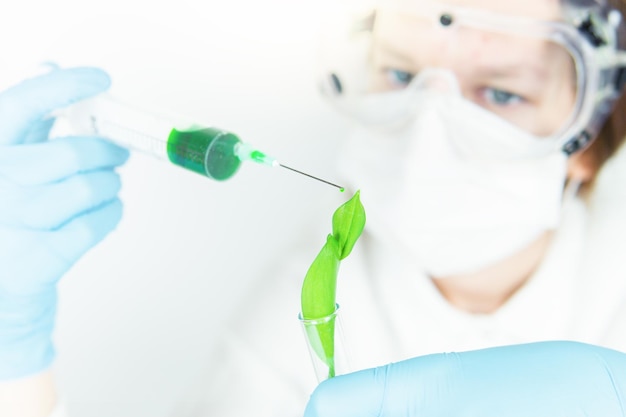 Foto een arts met een medisch masker en een beschermende bril ent een groene plant met een medische spuit met een naald