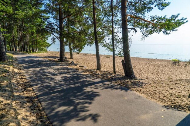 Een asfaltpad langs de kust van de Finse Golf nabij het dorp Komarovo Sint-Petersburg