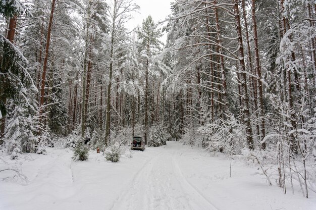Foto een auto met open kofferbak in het bos in de winter picknick in een winterbos