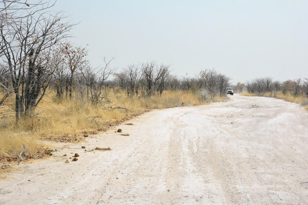 Een auto rijdt langs een brede onverharde weg in de woestijn in perspectief Een reis door droge landen