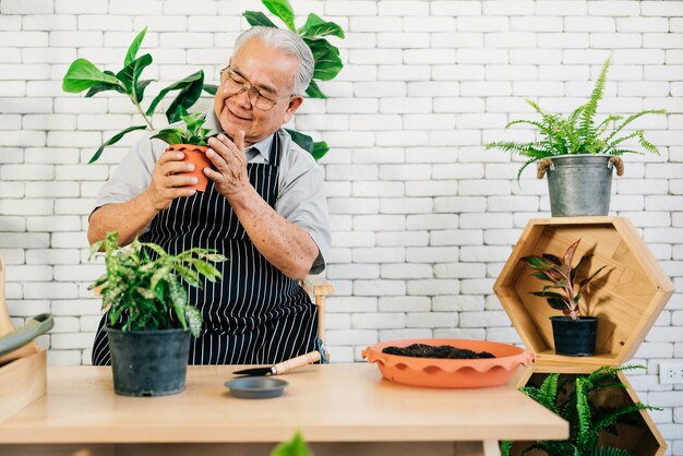 Een Aziatische gepensioneerde grootvader houdt ervan om voor de planten te zorgen, planten in potten te houden met geluk Pensioenactiviteiten.