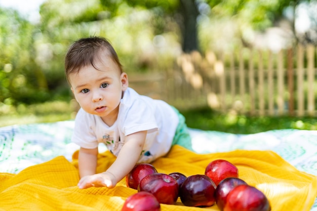 Een baby omringd door appels op een gezellige deken Een baby liggend op een deken met appels